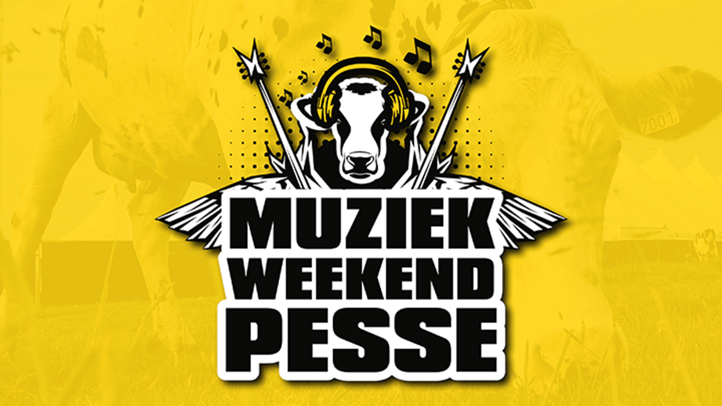 Muziekweekend Pesse | Dayticket Friday