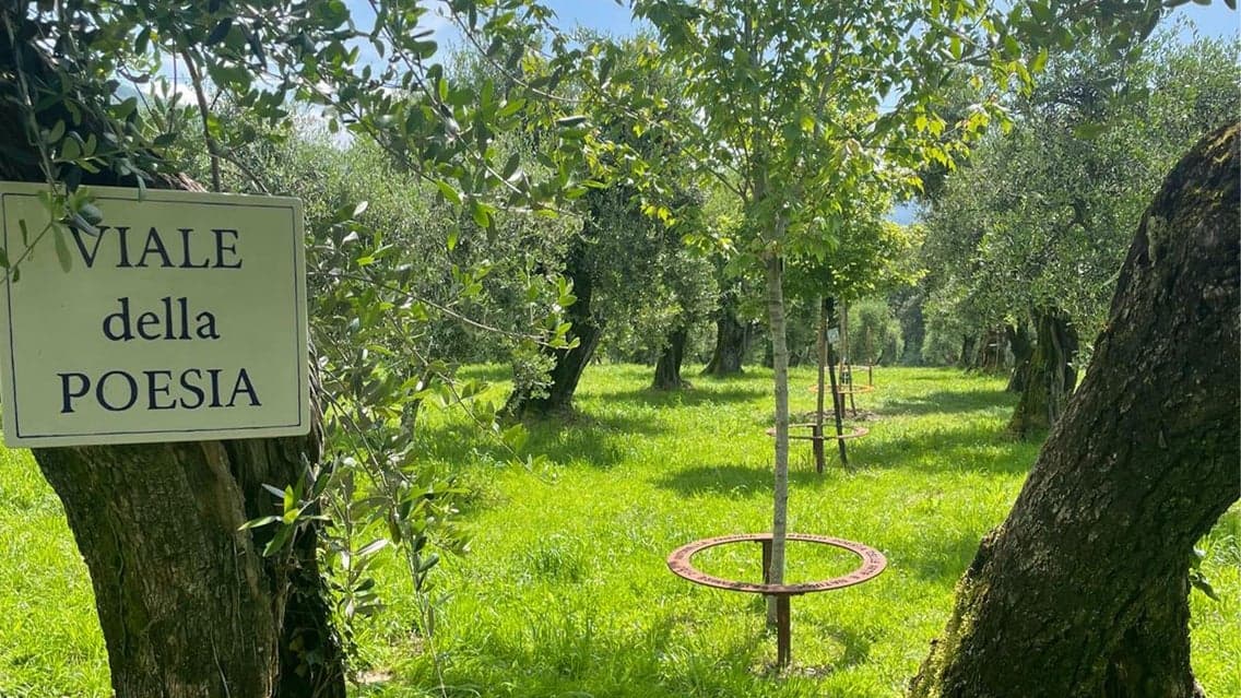 Visita della Poesia