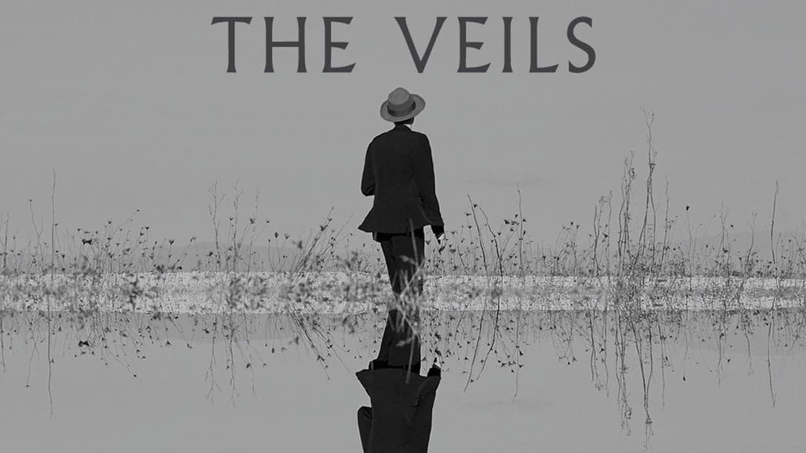 The Veils