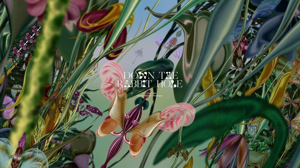 DTRH 2026 - THE BIG EASY - Apollo Comfort 2P