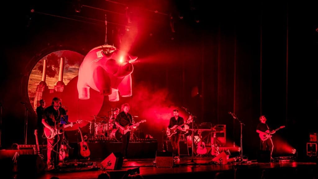 Zuiderpark Live: Pink Project