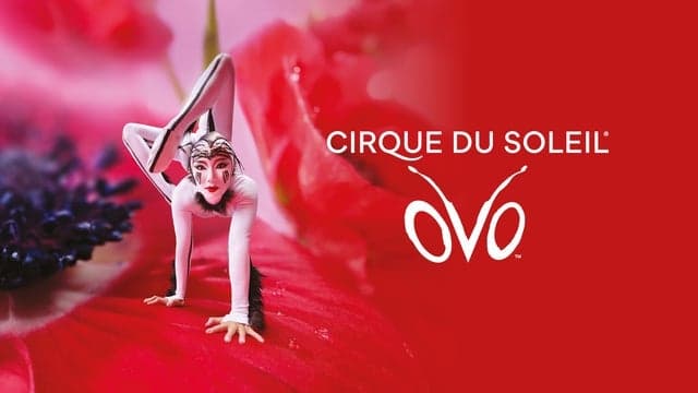 Cirque du Soleil OVO