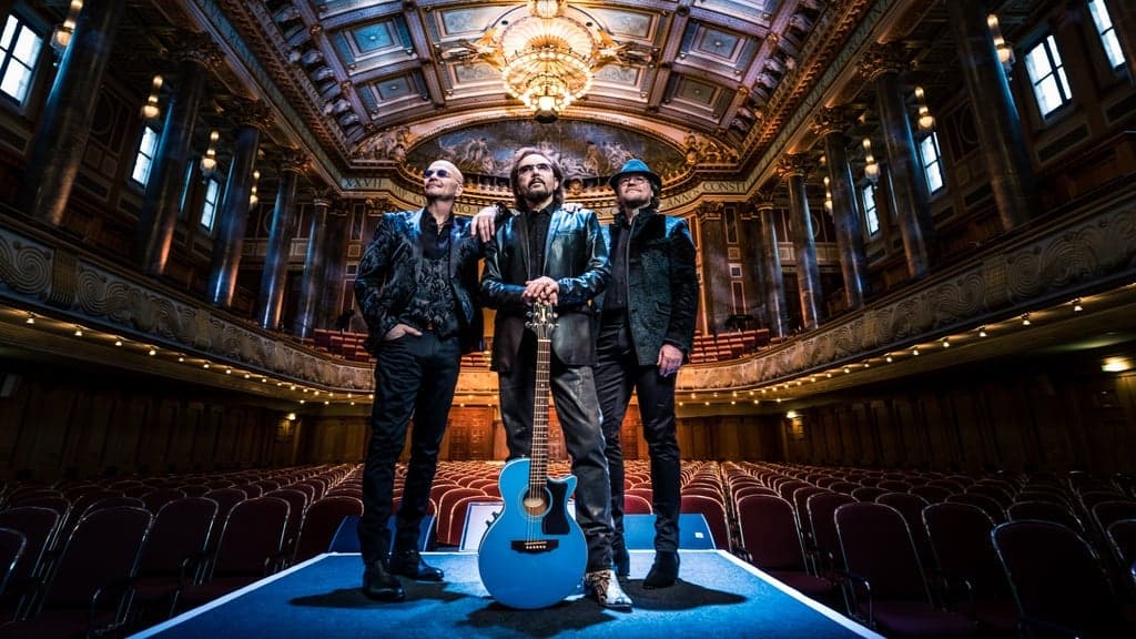 Night Fever a tribute to the BEE GEES - Nights on Broadway