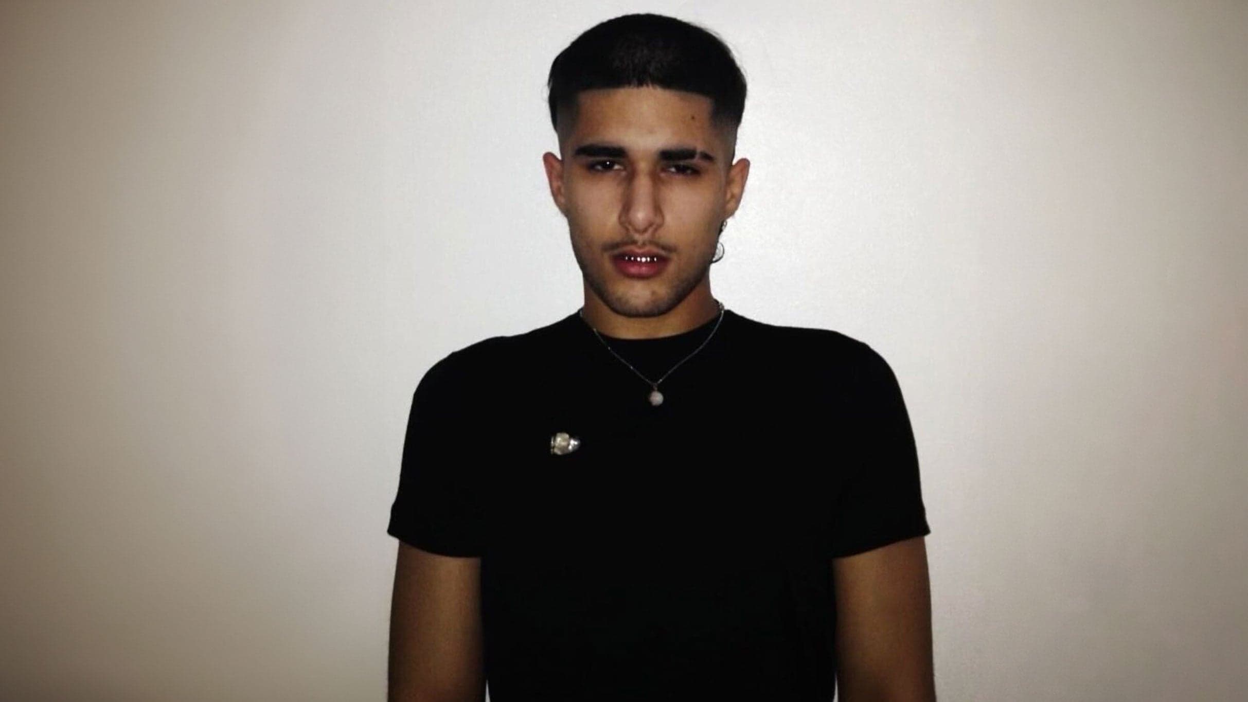 fakemink: a Terrible Beauty - The Tour