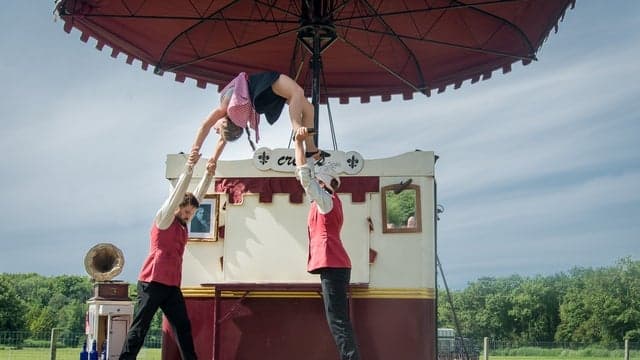 Hirondelles: Crêpe de la Bête