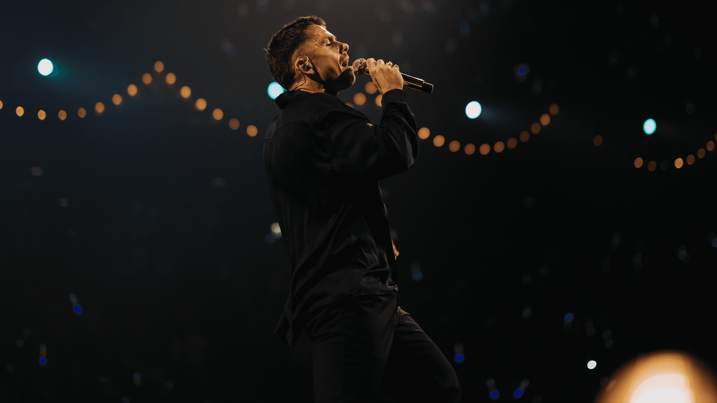 Zuiderpark Live: André Hazes