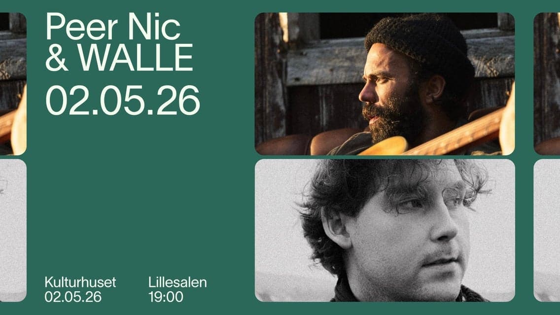 Peer Nic og WALLE