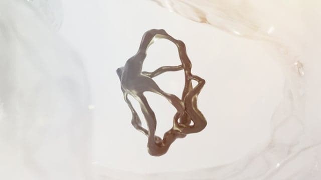 Tension Festival 2026 | Sunday