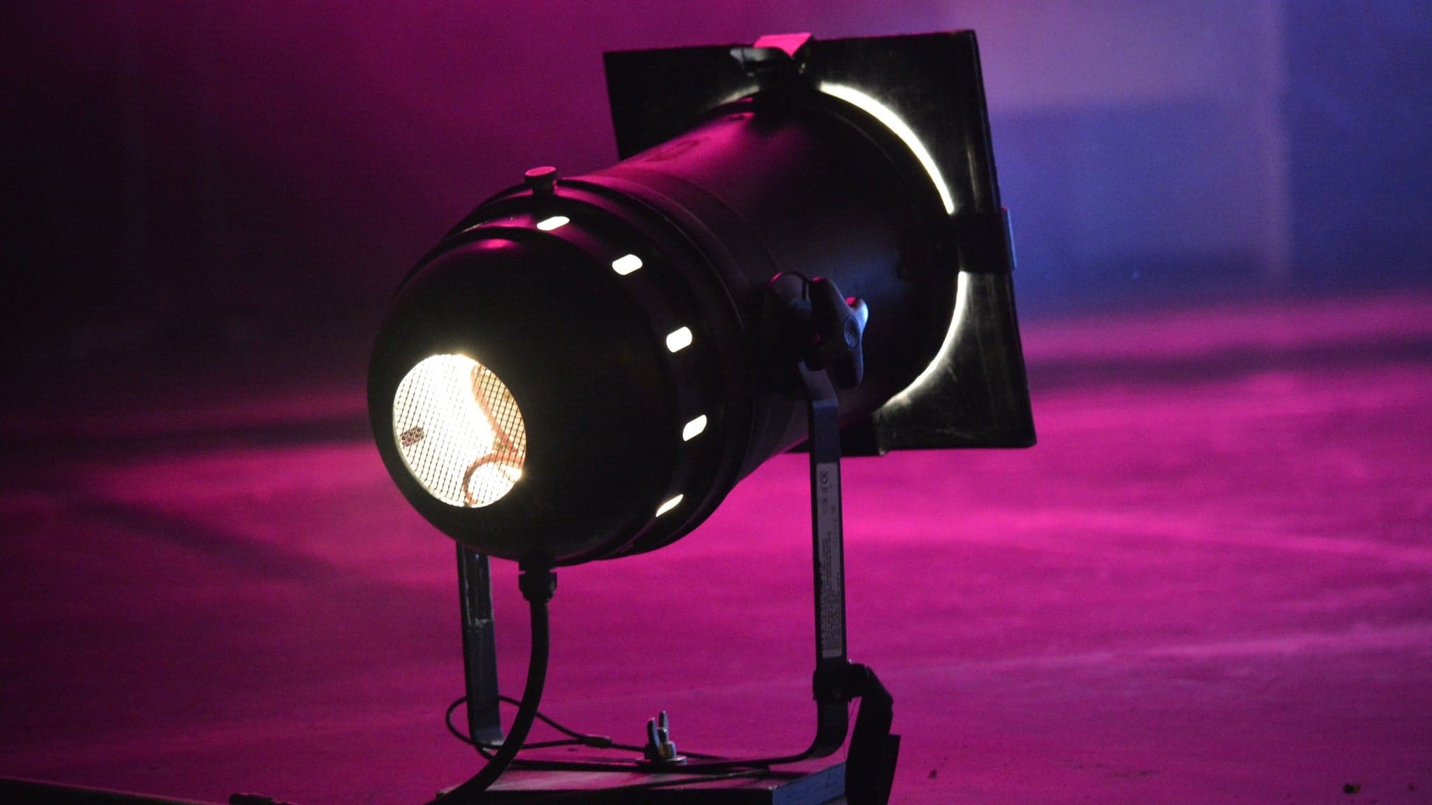 DINER SPECTACLE - DINER REVUE 'L'OISEAU PARADIS'